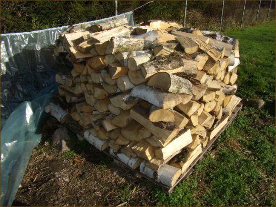 NAJLEPSZE drewno kominkowe w Szczecinie - drewno brzozowe.
Warto opaowa grubizny (przy wilgotnoci 15% - 18% masy suchej):
1900 KWh/mp;
4,3 KWh/kg.