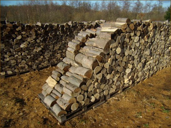 NAJLEPSZE drewno kominkowe w Szczecinie - drewno bukowe.
Warto opaowa grubizny (przy wilgotnoci 15% - 18% masy suchej):
2100 KWh/mp;
4,2 KWh/kg.