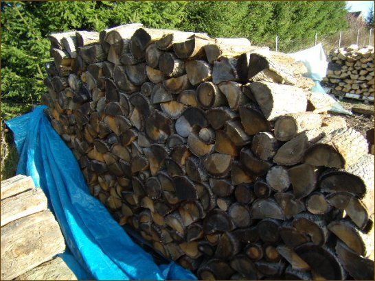 NAJLEPSZE drewno kominkowe w Szczecinie - drewno dbowe.
Warto opaowa grubizny (przy wilgotnoci 15% - 18% masy suchej):
2100 KWh/mp;
4,2 KWh/kg.