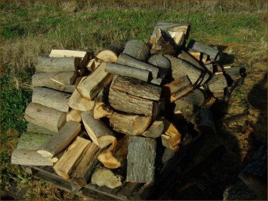 NAJLEPSZE drewno kominkowe w Szczecinie - drewno jesionowe.
Warto opaowa grubizny (przy wilgotnoci 15% - 18% masy suchej):
2100 KWh/mp;
4,2 KWh/kg.